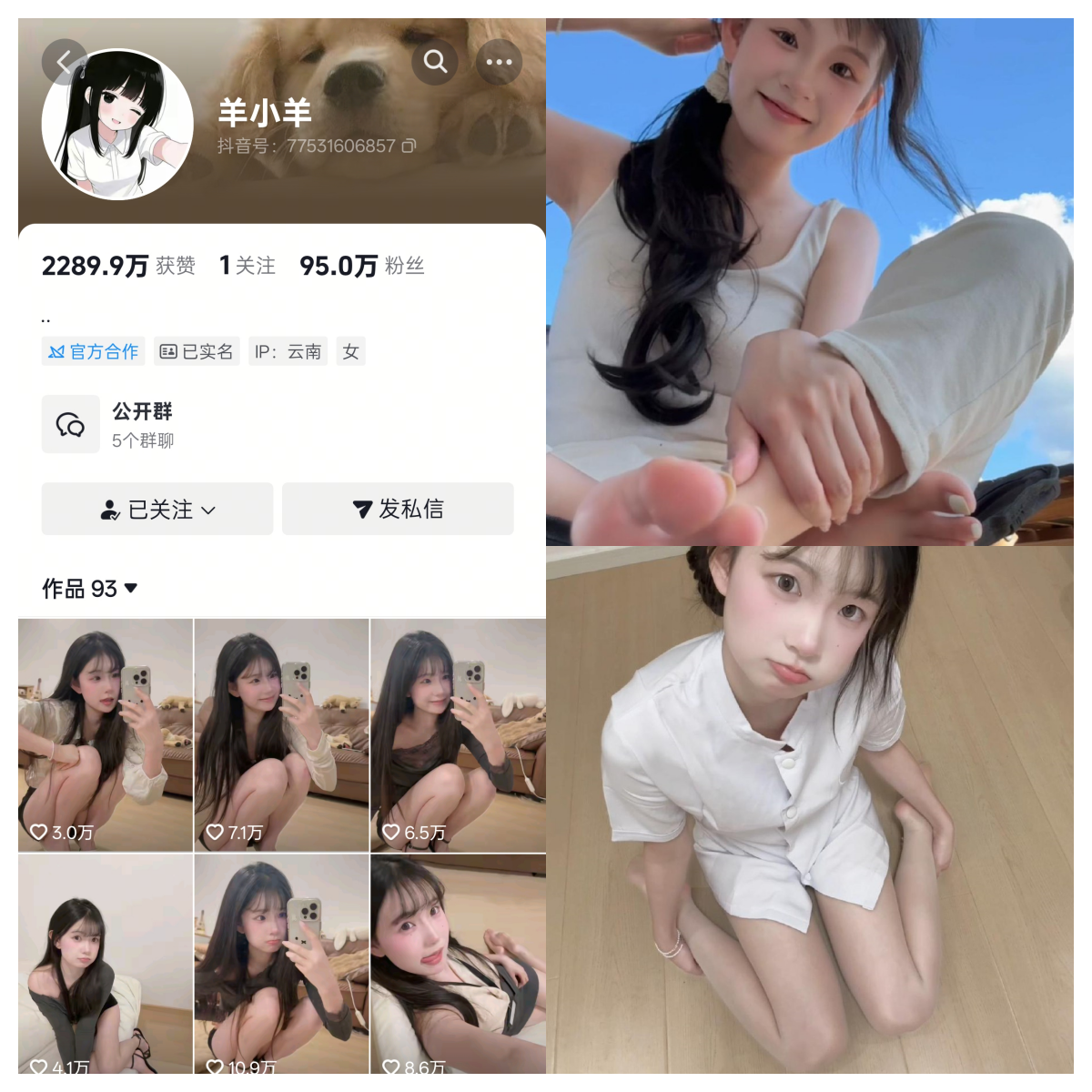 【完美佳人】-羊小羊合集 【完美佳人】-羊小羊合集