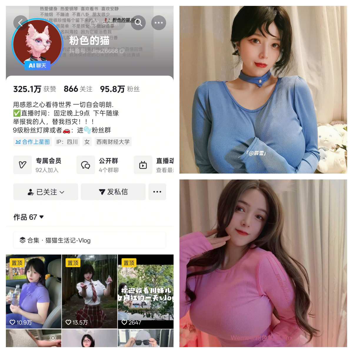 【精美资源】-粉色的猫秘语空间/幻宇星球合集 【精美资源】-粉色的猫秘语空间/幻宇星球合集
