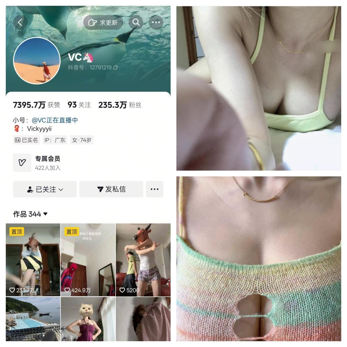 Vickyyyii(VC)合集 Vickyyyii(VC)合集
