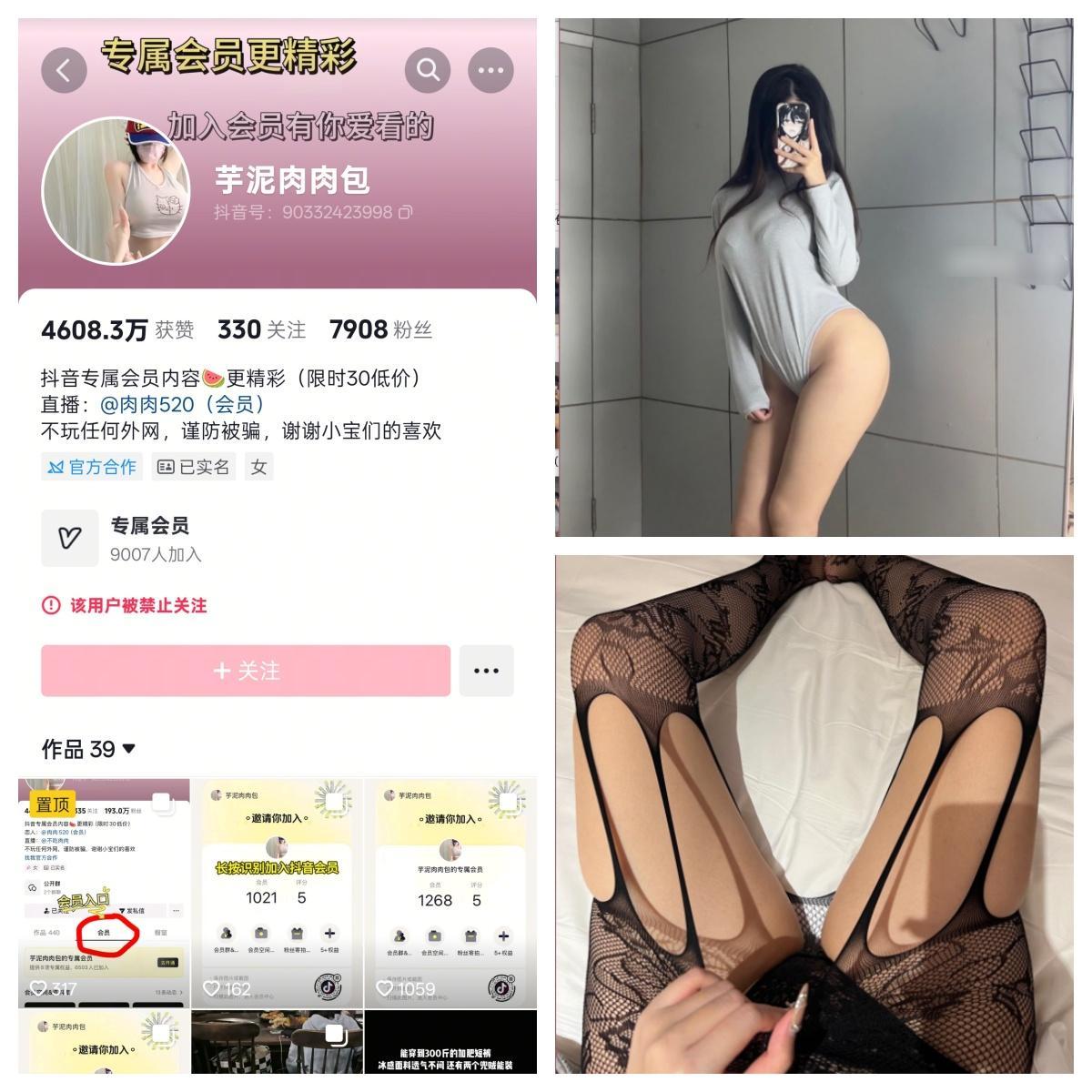 【精美作品】-芋泥肉肉包秘语空间/幻宇星球合集