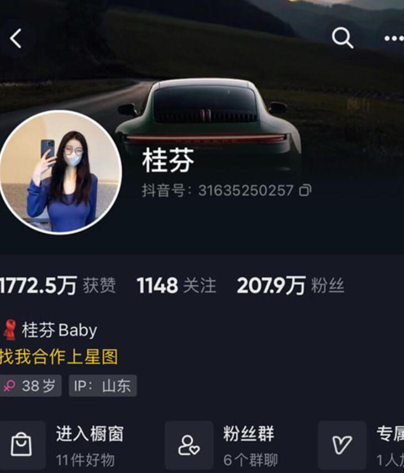 桂芬｜抖音200万粉气质网红，全新重金定制风尚大片合集