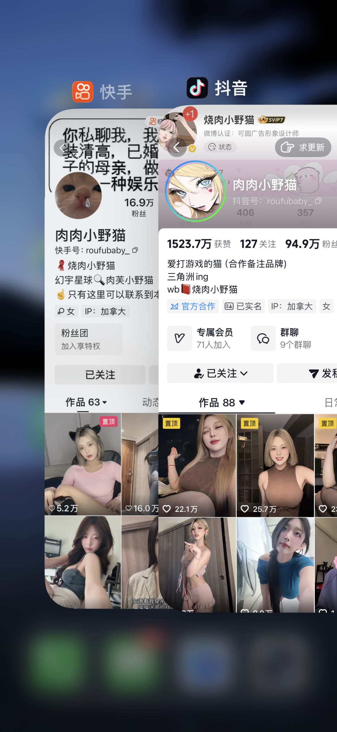 【收藏版】-肉肉小野猫合集 【收藏版】-肉肉小野猫合集